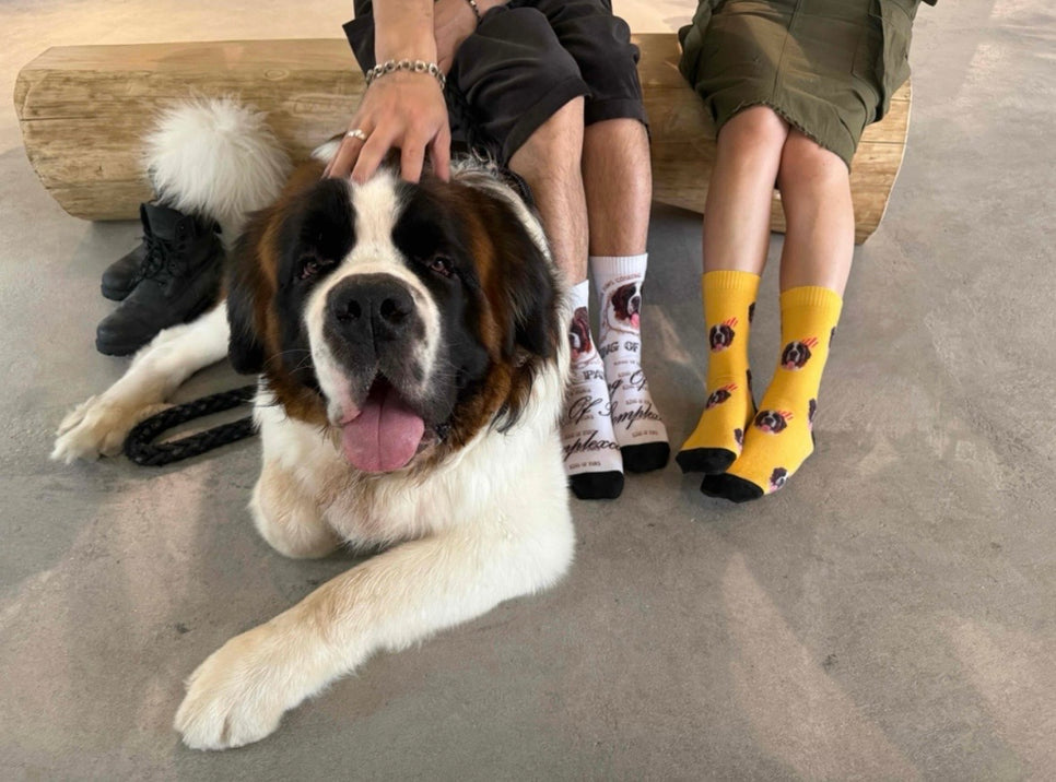 Portrait Stripe crew socks