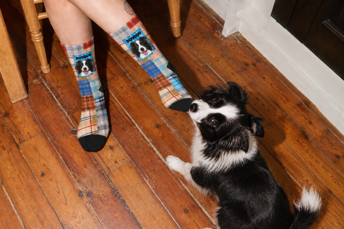 Companio socks and the pets they were made from